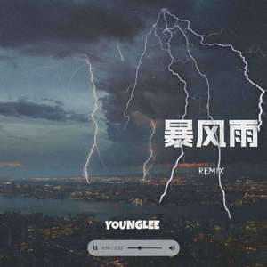 Higher Brothers-暴风雨(YOUNG LEE remix)（Young Lee remix）