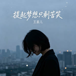 提起梦想只剩苦笑