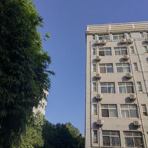 请在薄情的世界里深情的活着