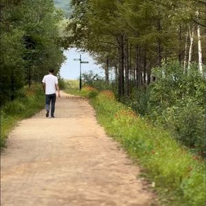 写给我们的情歌