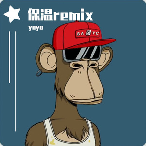 你的大表哥曲甲-remix 保温（yoyo remix）