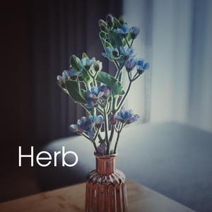 Herb