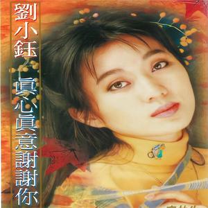 晚风吹暖了我的心