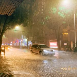 你没了我，我失去你