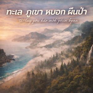 ทะเลภูเขาหมอกผืนป่า