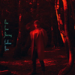 I Don't Want To Do This Anymore