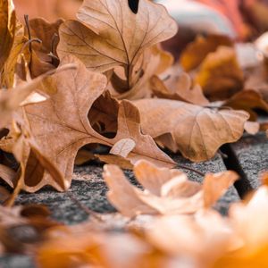 一尘不染时刻印象数