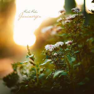 Junimorgen