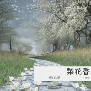 梨花香 (走心DJ版)