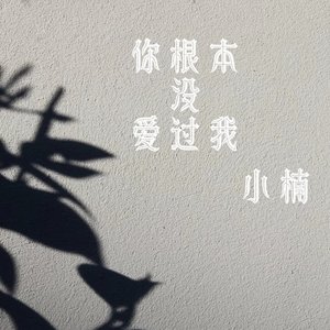 你根本没爱过我