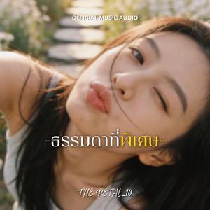 ธรรมดาที่พิเศษ