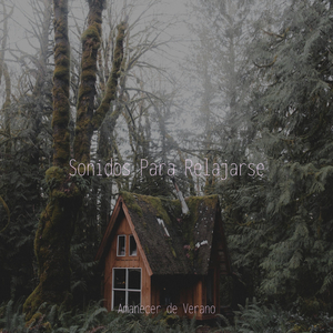 Kaleidoscopio Adormecido