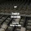 AAP - Tropical (Acapella)