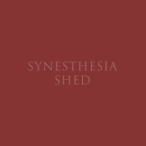 Synesthesia Shed