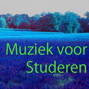 Muziek voor Studeren 6