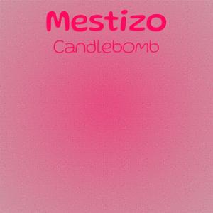 Intelligence Appropriate