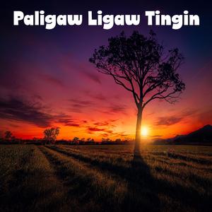 Paligaw Ligaw Tingin (Rock Version)