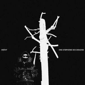 Eine symphonie des grauens