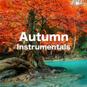 さよならの夏 (映画「コクリコ坂から」より) [Piano Cover]