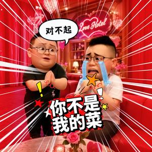 你不是我的菜 (Instrumental)