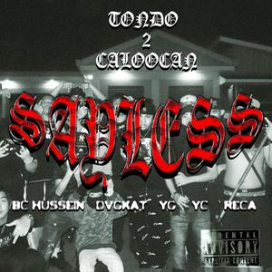 SAYLESS (BC X DVGKAT,YG,YC,RECA)