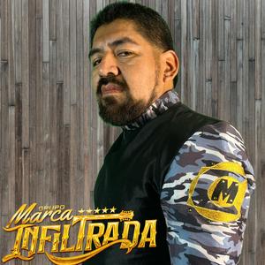 El rapido (tolo) (live)