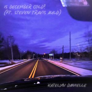 Is December Cold? (feat. Steven Travis Auld)