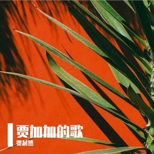 大雁往南飞-贾越然