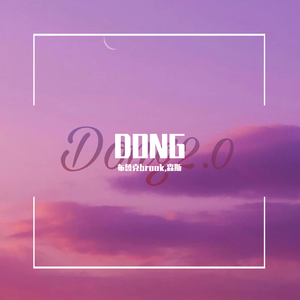dong2.0
