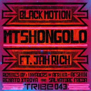 Mtshongolo (Afshin Deep Mix)