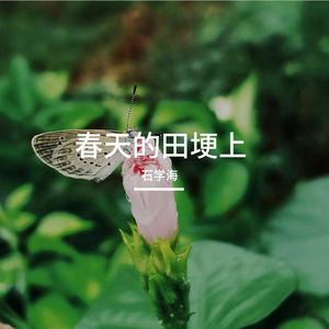 春天的田埂上