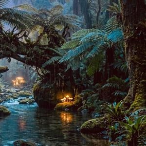 Jungle Rain at Night