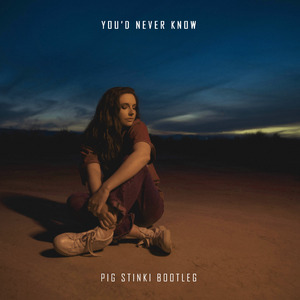 You'd never know (Pig Stinki remix）