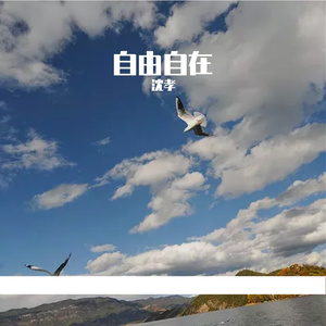 凤凰传奇-自由自在（沈孝 remix）