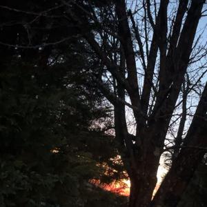 second grade (feat. longnightintokyo & Amante2k14)