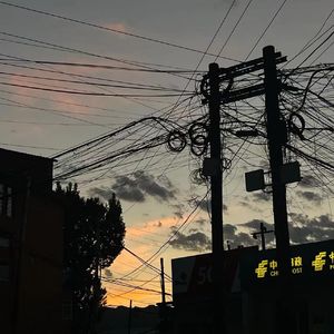 长大
