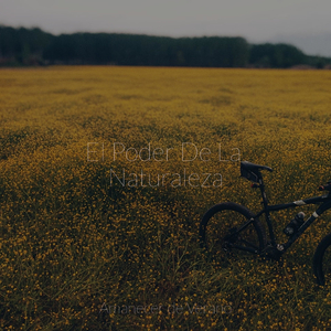 Deriva de la Nebulosa Orquídea