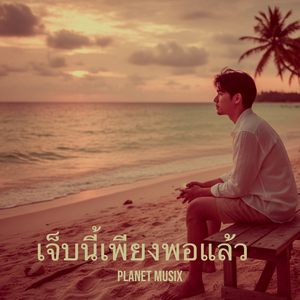 เจ็บนี้เพียงพอแล้ว