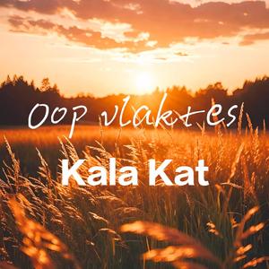 Oop vlaktes