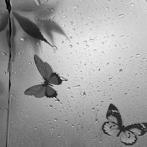 可我只是海_苏.