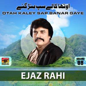 Aaye Janab E Aali