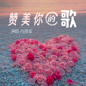 赞美你的歌