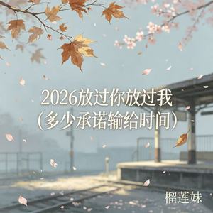 2026 放过你放过我（多少承诺输给时间）