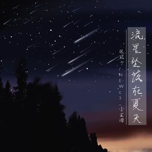 流星坠落在夏天