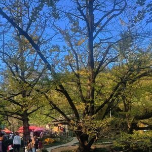 《春砂守望》