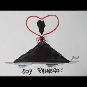 SOY PALMERO