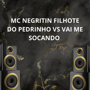 Filhote do Pedrinho Vs Vai Me Socando