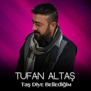 Taş Diye Bellediğim