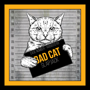 Bad Cat