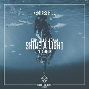 Shine a Light (Vip Mix)